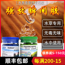 Easta ESTA fish tank landscaping coral glue aquarium Moss glue dimwood glue free shipping water grass special glue