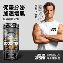 Muscle Technology Testosterone Fitness Male Hormone Supplementation Testosterone Non-creatine Protein Powder Zinc Magnesium Testotropic Capsules