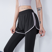 Yoga Pants Woman Summer Style High Waist Lift Hip Fake two sports pants Slim Fit Professional Running Training Fitness Pants