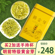 Spot Anji White Tea Gold Bud Mingmei special tea 2021 new tea authentic Gold Bud Tea 250g bulk