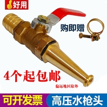 D mixer car car wash water gun nozzle 4 6 minutes 6 fire water gun head household high pressure flush straight spray gun head water