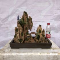 Fine water stone absorbent stone bonsai copywriter ornaments strange stone rockery micro landscape Town House high-grade creative gifts