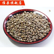 Fire Numbness 500 gr Fiery Hemp Seeds Selected Hemp Seed Fire Hemp Seed Tea