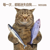 cafecat emulation fish toy with pillowy cat mint teasing cat stick grindstone resistant to bite kitty toy supplies