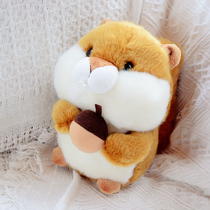 Cute little squirrel doll Cat doll Panda Ragdoll Plush toy Foodie small animal Birthday gift girl