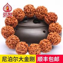 Nepal 7-petal King Kong Bodhi bracelet 6-petal mens double dragon pattern full of meat dwarf pile selection 2 2mm 5 petal full meat