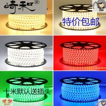 Light strip three-color color color colorful home living room ceiling light strip 220V outdoor waterproof light tape cord light patch