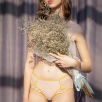 AuroraAlba Tanabata dandelion pink orange embroidery lace hollow briefs