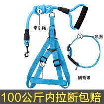 Labrador traction rope Puppy does not pull the leash easy to slip the dog rope Convenient cute Teddy travel method bucket