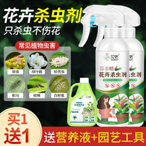 Flower plant insecticide Rose Red Spider special medicine flower soil green plant flower deworms potted insecticide