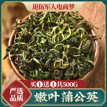 Dandelion tea Dandelion root tea Tong breast female mother-in-law Ding bulk dry Pu Gongying