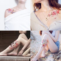 8 sets of suit ancient wind flower arms women tattooed with emulated unicorn persistent whale waterproof collarbone fresh cherry blossom fairy crane