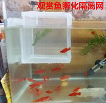  Tropical fish hatchery fish tank Isolation net Fish tank Aquarium incubator Small cub production box Small fish breeding box