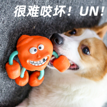 Dog toy with biting ball milling tooth vocal rubber teasing pet puppy teddy side pasture dog ball puppies antithets