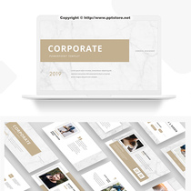 (Very simple style) Animation · light luxury light golden marble PPT business Template 4 0 PPT template elegant literature