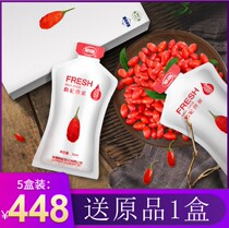 5 boxes to send 1 morning Kang Chinese wolfberry juice Ningxia fresh liquid Gangqi Ji big granule nourishing tea woman nourishing conditioning