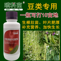 Green beans green beans cowpea special foliar fertilizer rooting and stretching agent increasing the yield of amino acid water-soluble fertilizer