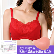 Yuanjia prosthetic bra Two-in-one special silicone fake breast underwear after breast surgery Fake breast resection bra