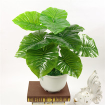  Office flower simulation background wall Plastic flower plant wall decoration accessories agent small plant dripping Guanyin plant