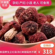 Russula dried goods 250g Fujian Wuyi Mountain authentic wild Russula Super Alpine Rhodococcus vertebrum Yuezi mushroom non 500g