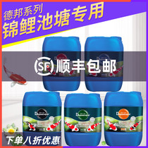Debon Koi universal energy fish disease water purifier algaecide nitrifying bacteria 5L liter ornamental fish pond