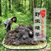 Village girl Changbai Mountain Wild Polyporus can cut Polyporus Poria Wapo Wild Boar Food Selection Washing 250