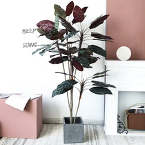 Nordic simulation flying plume bamboo large floor green planting bamboo potted indoor living room window-like room plant false trees