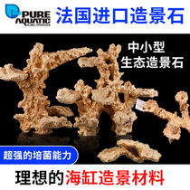 P brand French cultivation of landscaping stone seawater coral small tank landscape shrimp Tiger eel fish nest living stone into a scene