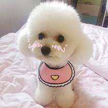 Small Puppy Saliva Towel Pet Scarf kitty Triangle Towel Beauté Small Dog Neck Teddy Cute Cartoon Enclosure Mouth