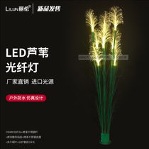 Lighting engineering luminous plant outdoor LED simulation Reed fiber light engineering Park lawn lamp landscape decoration