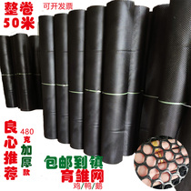 Black Pore Plastic Flat Mesh Thickened Mesh Sheet Breeding Isolated Anti-Fall Nets Bed Leakage Manure Fencing Chicken Duck Home
