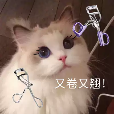 everbab eyelash curls curl long-lasting shaping local sunflower one flying into the sky segmented small Marianne