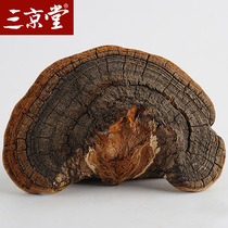  Buy 3 get 1 free Sanjingtang Wild Mulberry Yellow Wild Mulberry Yellow Ganoderma Lucidum Tibetan Mulberry Tree Yunnan Mulberry Yellow Wild Ganoderma Lucidum 500g