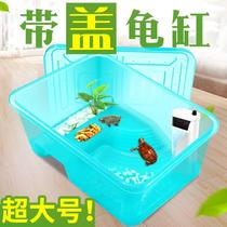 Rectangular medium-sized turtle box turtle fish tank transparent turtle oversized portable plastic household crocodile