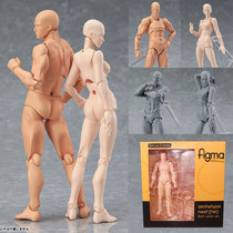 figma Version Handheld Model Reference Painting Painting Art Comics Doll Tools Sketching Domestic