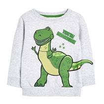 Boys Hoodies Children Sweatshirts Kids Clothes Baby Pullover