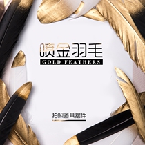 Golden feather ins Wind photo props goose feather background decoration Net red tremor small jewelry black gold nail art hand holding Gu Mei shooting ornaments photo photography food products posing scene Wall