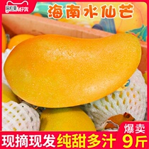 Hainan Special Produce Water Fairy Mango 10 Catty Fresh Golden Huang Mangung Season Fruit Green Sweetheart Mega Mango Whole Box