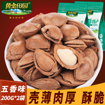 Golden pastoral small ginkgo Xinjiang specialty nut snacks spiced almonds open small white apricots 200g*2 bags