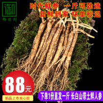 500g Changbai Mountain with soil fresh ginseng fresh ginseng wine soup Northeast ginseng non-wild ginseng red ginseng White ginseng