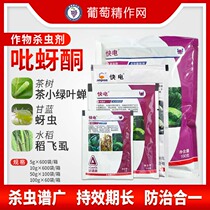 Anbang Fast Electric Pymetrozine Rice Wheat Rice Flying Lice Tea Small Green Leaf Cicada Aphid White Powder Lice Pesticide Insecticide