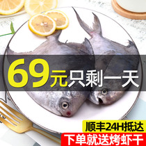 Zhoushan fresh silver pomfret deep sea fish White flat pomfret fish silver Chang fish fresh live sea catch frozen seafood aquatic products