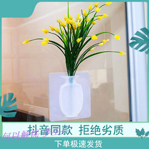Vase trembles glued to the glass with magic silicone seamless stickers magic rubber stickers Wall Wall Wall flower pots