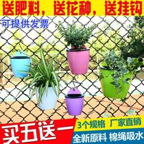 Hanging Wall flowerpot buy five get one wall lazy pot automatic absorbent pot green water culture hanging basket basin hanging plastic basin