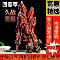 Wild Return Spring Grass in Yunnan Province No Old grass 500g Top Tianzhu Men Nourishing Matching Maka Lock Yang Cistanche Bubble Wine