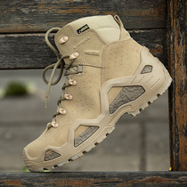 Lowa Z-6S GTX mens mid-help tactical boots desert boots flying boots training shoes men 310668 Iron Blood
