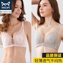 Cat people new upscale womens underwear ladies underwear no steel ring to woo big breasts small anti-drooping big code bra bra