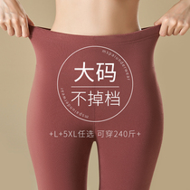 Big-yard heating pants female fat mm 200 pounds fattening and pouring autumn pants and thicker trousers underpants cotton pants winter