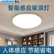 Visual Bay led induction ceiling light sound control corridor staircase corridor home entrance corridor radar human body sensor light