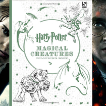 harry potter English version of Harry Potter Adult decompression decompression animal coloring book Coloring book Doodle book